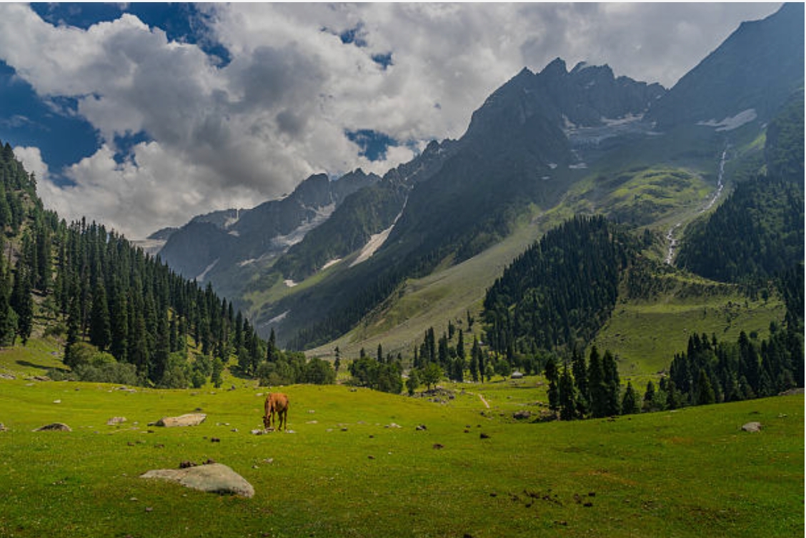 Betaab Valley Pahalgam