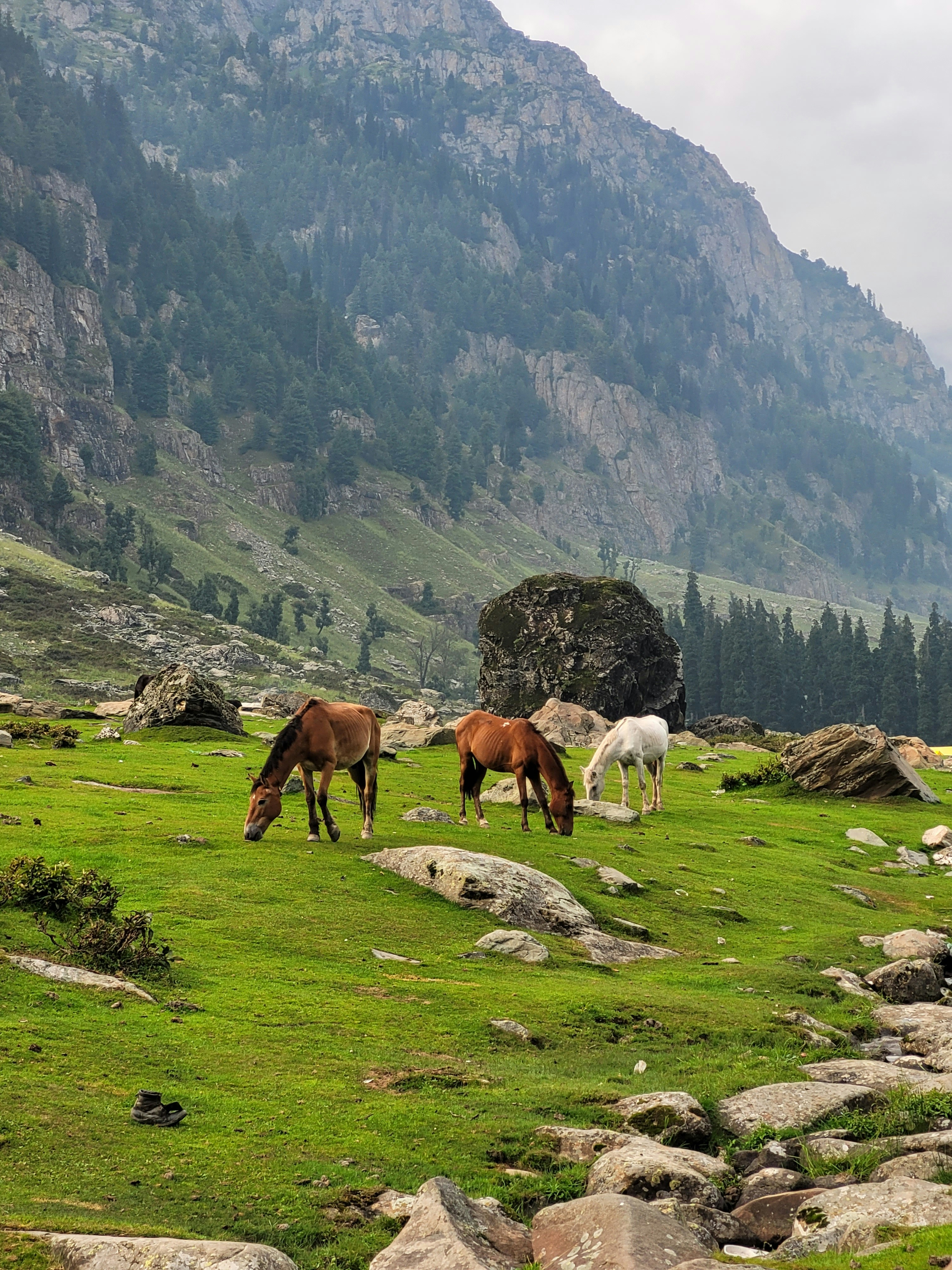Aru Valley Pahalgam