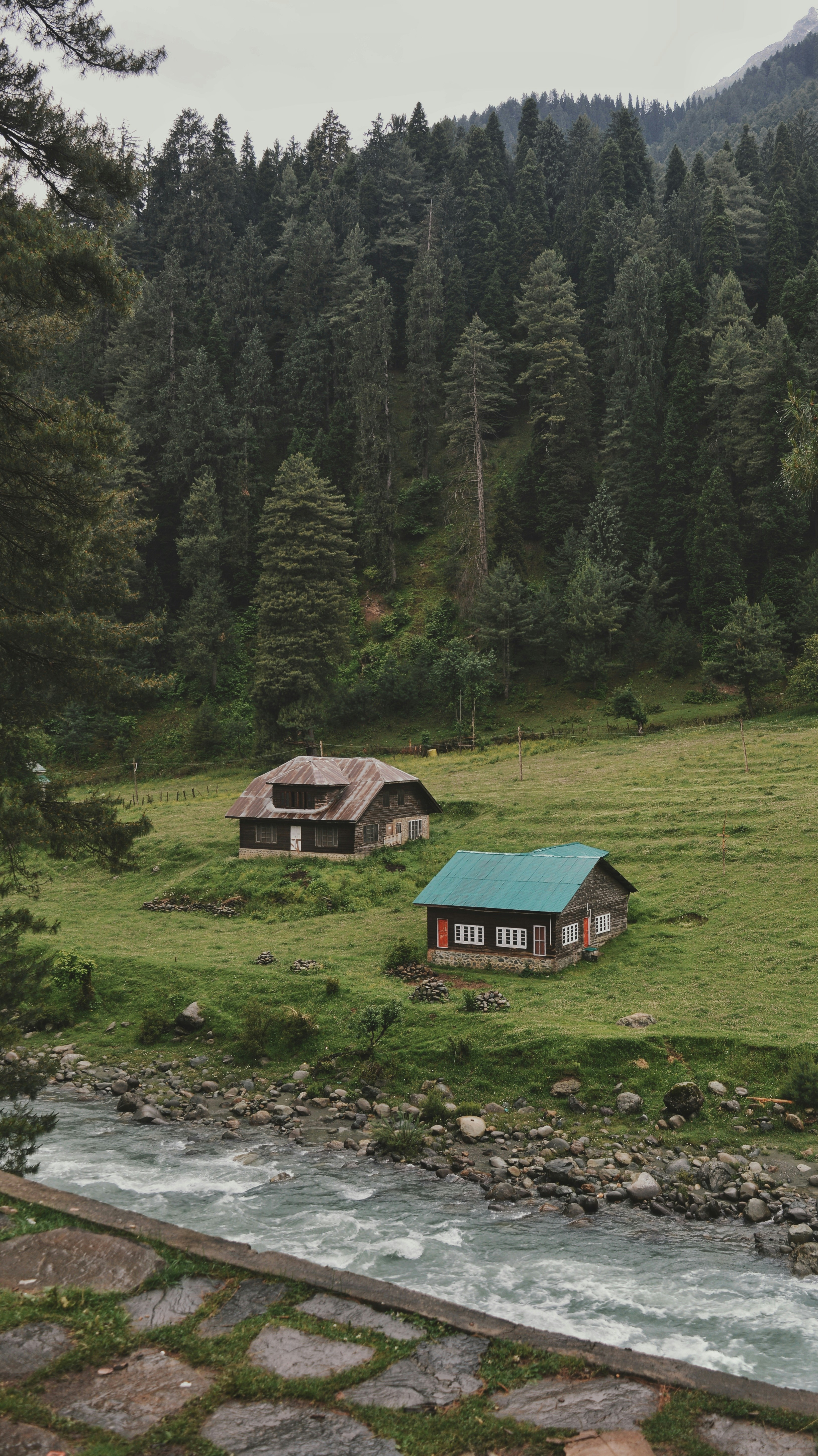Patnitop meadows, pines and hill views